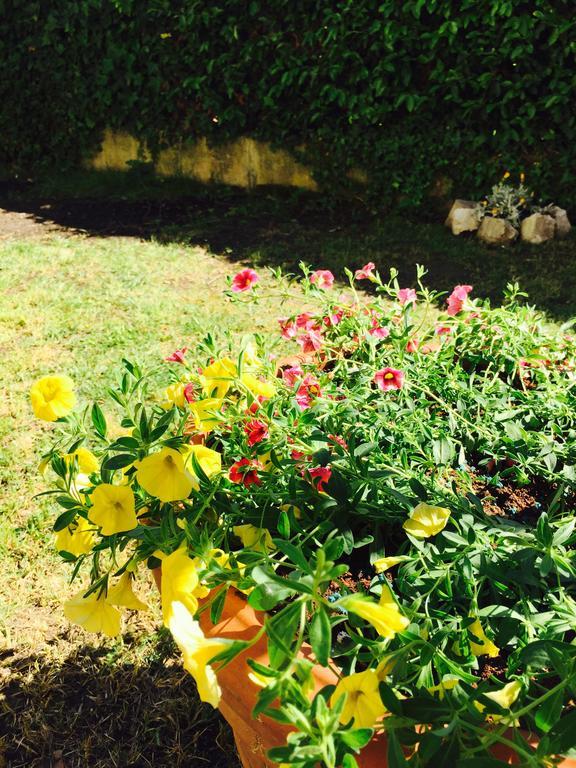 Harmony House Prestige Bed & Breakfast Pisa Bagian luar foto