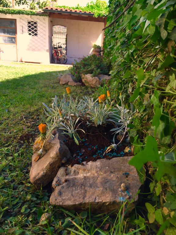 Harmony House Prestige Bed & Breakfast Pisa Bagian luar foto